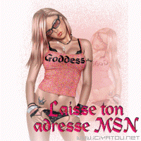 laisse ton adress msn!