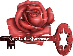 le gif 2mn coupl perso!lachés vs com's
