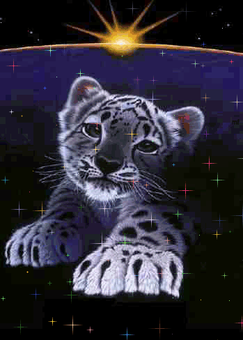 bb tigre!