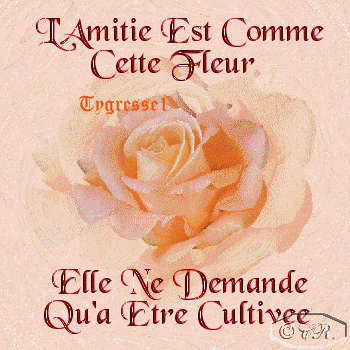 c cler m tt en doueur car el  ossi fragile com cet fleur  tjrs veil  ckel ne fane pas!retenez bi1 la leon m zamis!